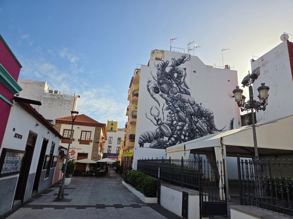 Gran mural en Puerto de la Cruz con insectos dibujados en blanco y negro sobre la pared de un edificio.